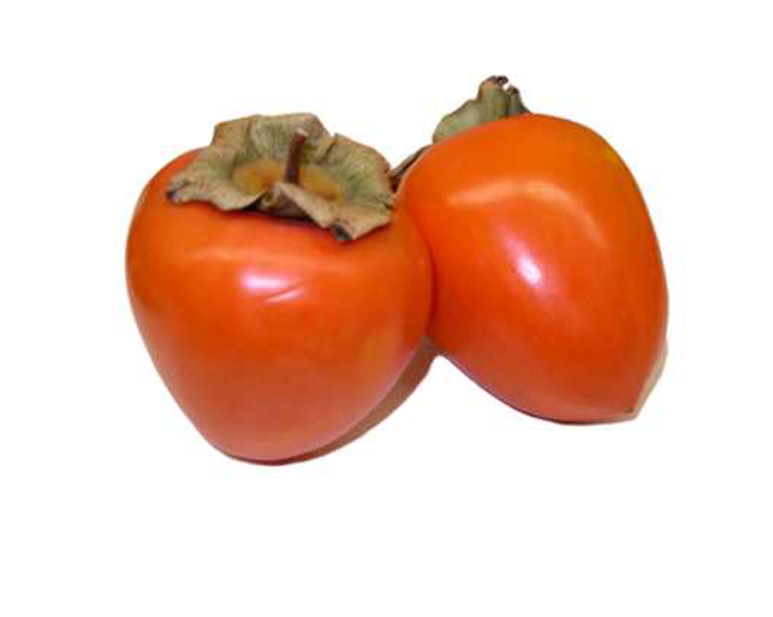 <strong>PERSIMMON</strong>