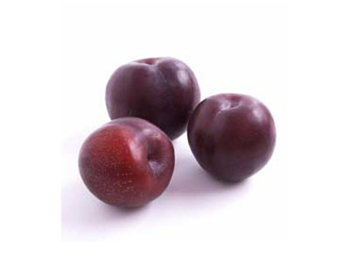 <strong>PLUM</strong>