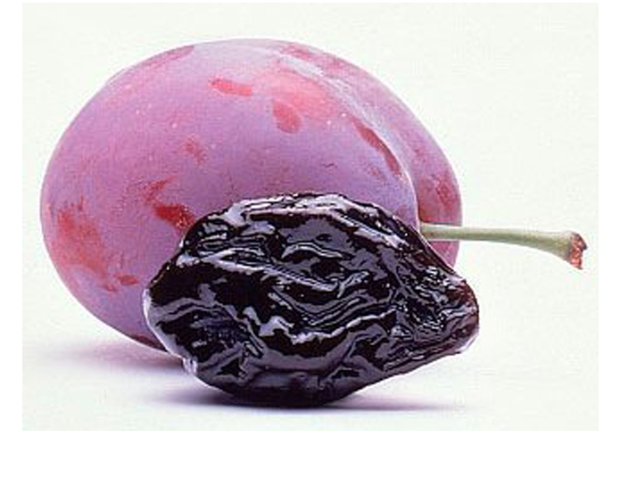 <strong>PRUNE</strong>
