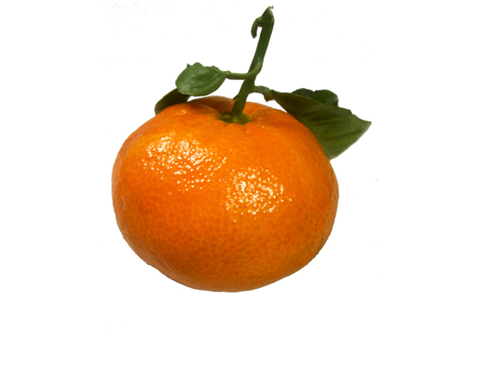 <strong>TANGERINE</strong>