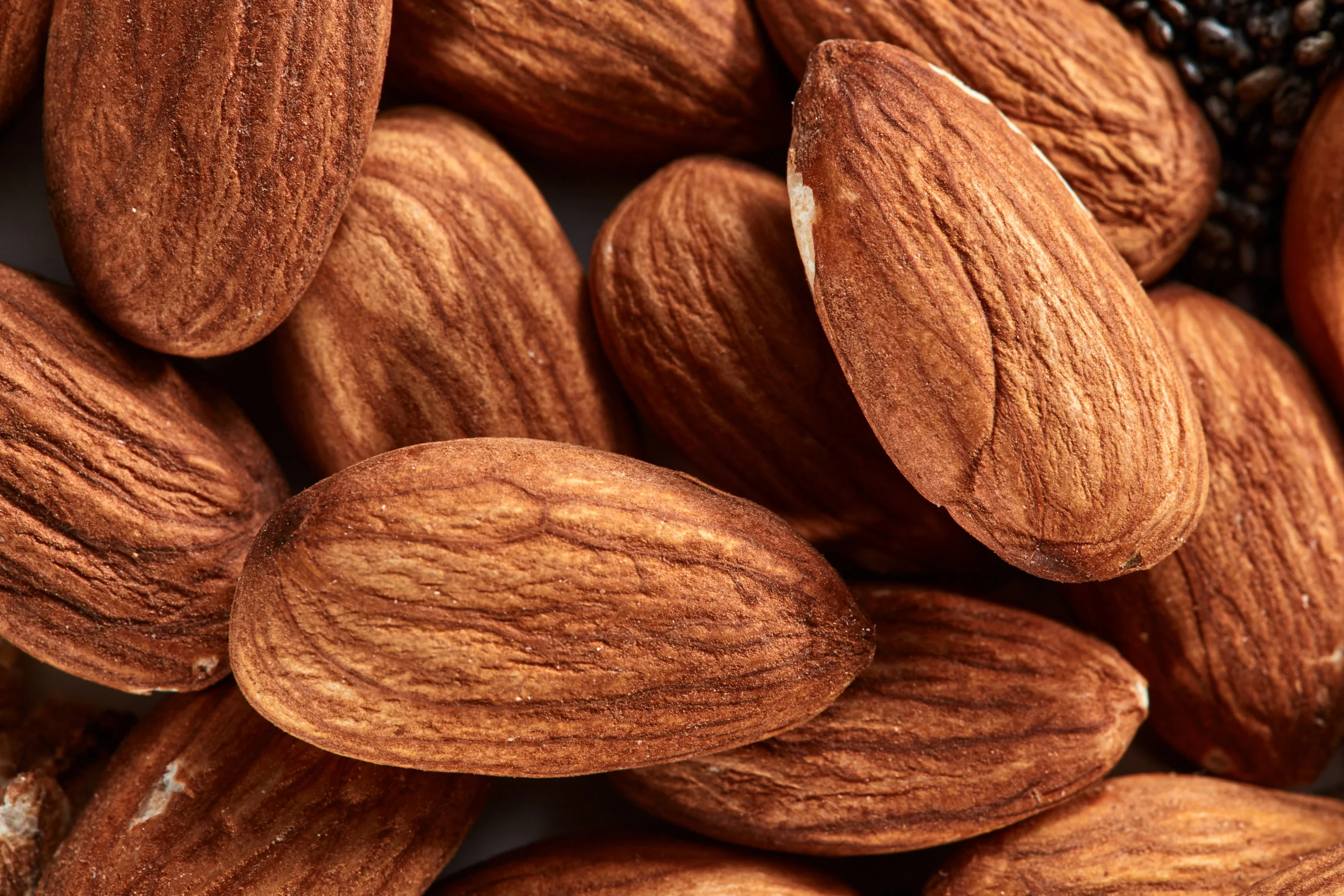 nuts-almond-background-close-up-view-of-nuts-KJ6TFZG (1).jpg