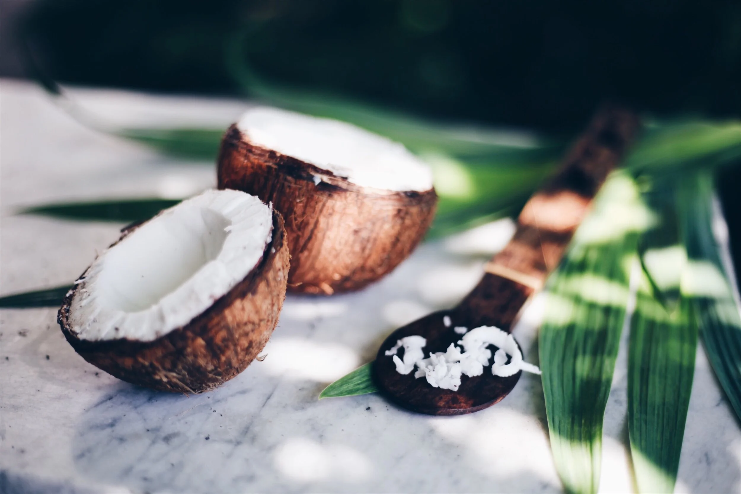 coconut_t20_a7o2An.jpg