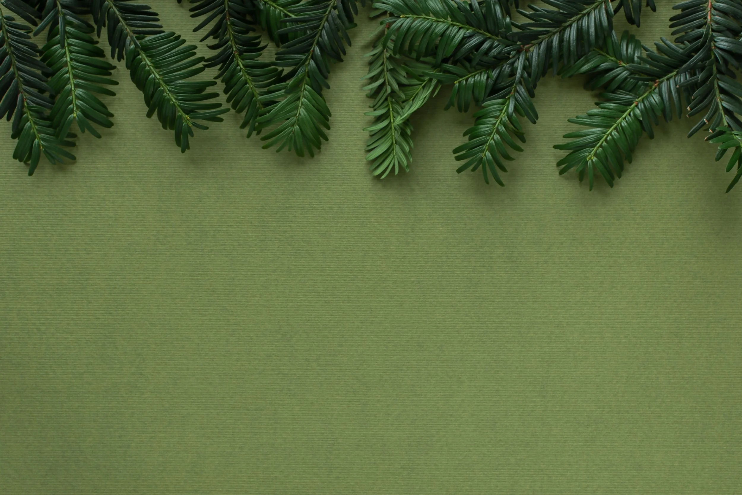 Holiday Survival Guide