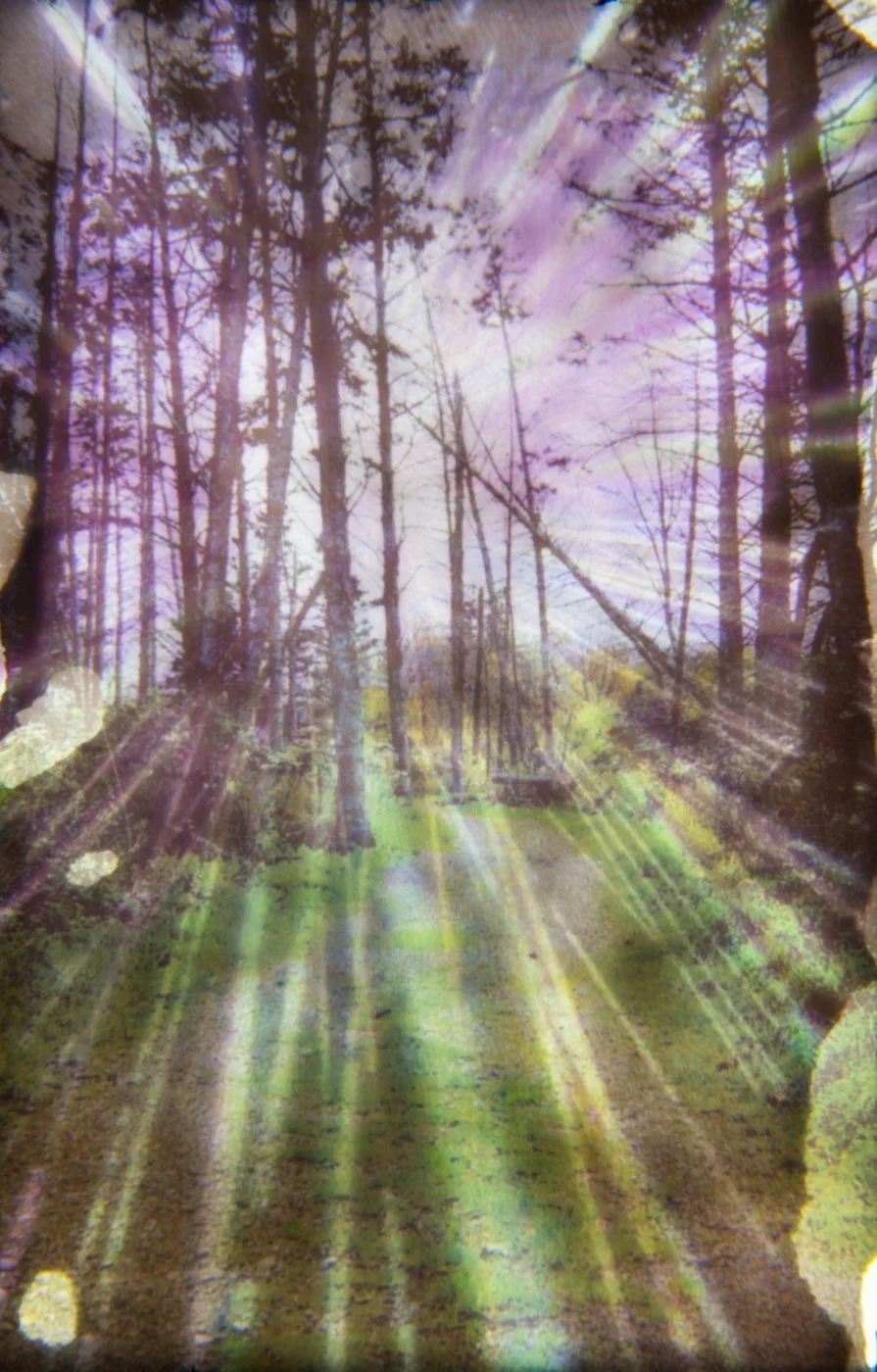 Dreams-DanielleDenis09.jpg