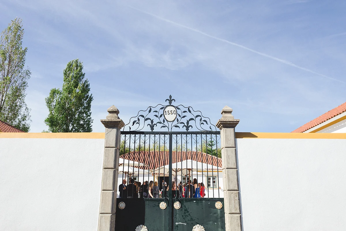 PDV (110 de 230).jpg