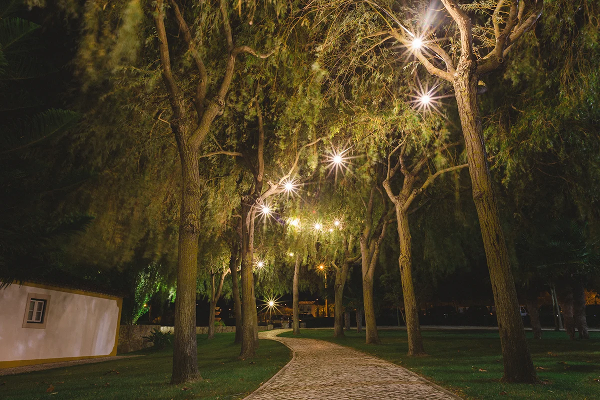 PDV (160 de 230).jpg