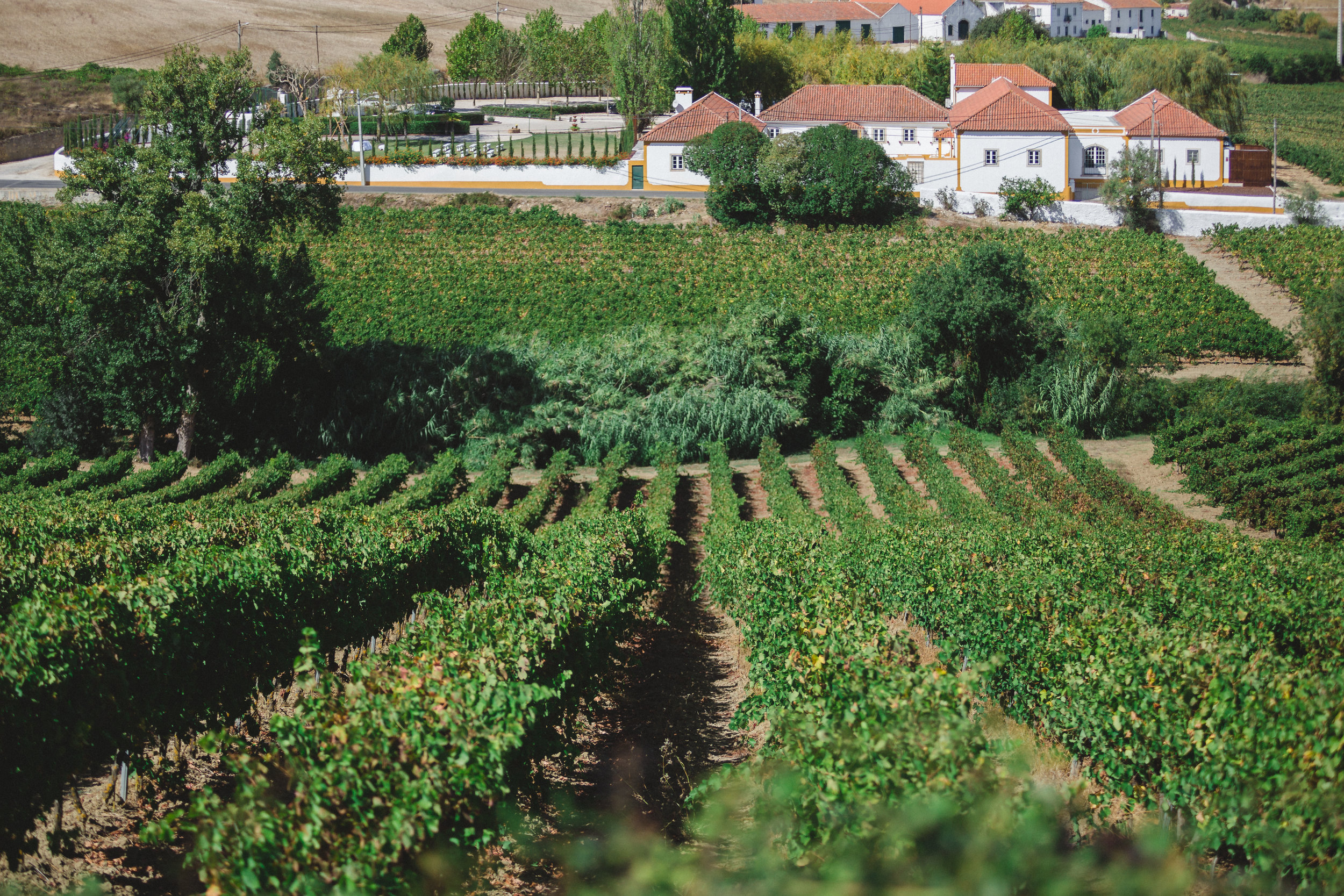 5 Séculos de História