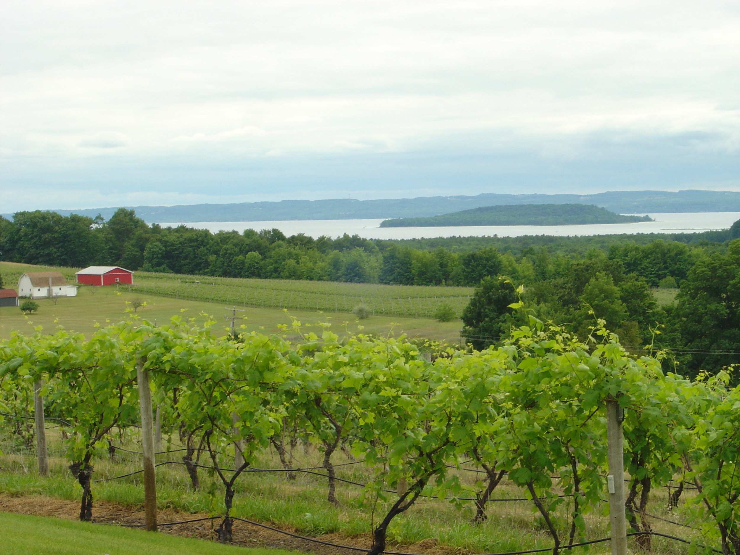 View of Grand Traverse Bay from Old Mission Peninsula (Image: Wikimedia Commons )