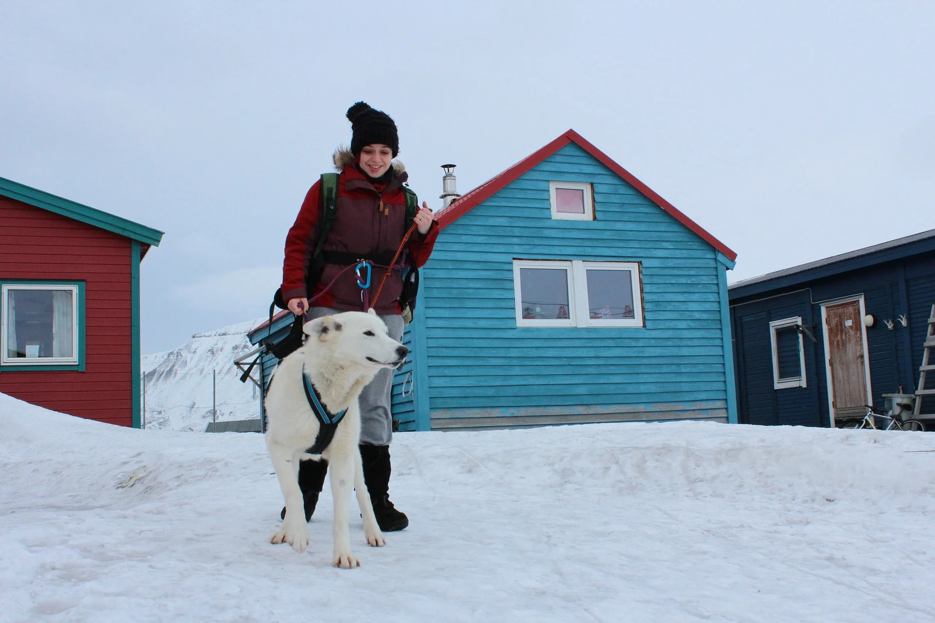 Svalbard: Walking in a winter wonderland (Image: Pixabay )