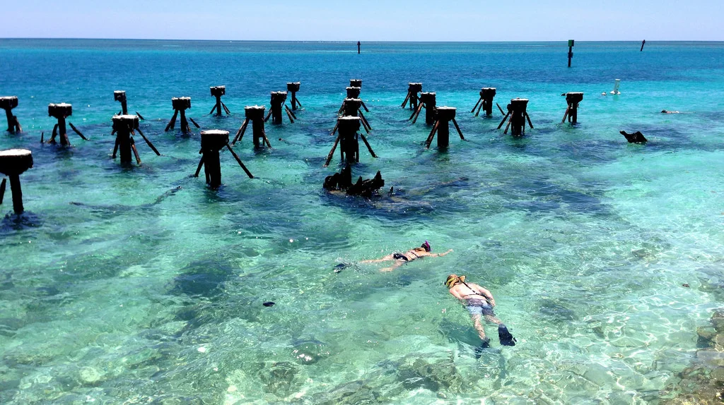 Snorkelers check out the underwater ecosystem at Dry Tortugas National Park. (Image: Flickr )