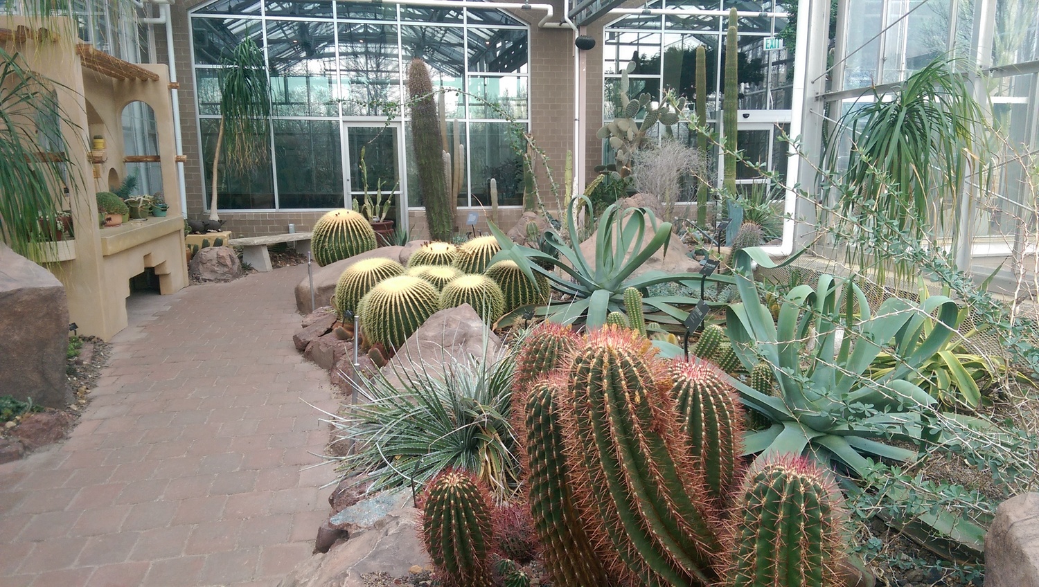 The Arid Garden at Frederick Meijer Gardens & Sculpture Park