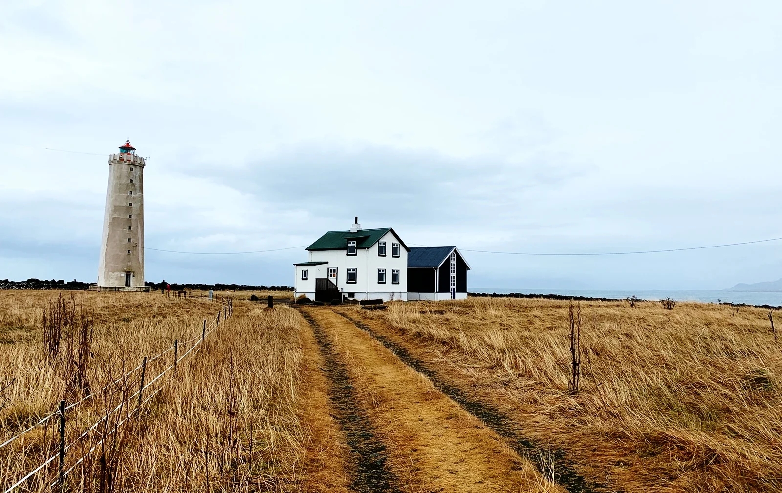 The Incredibly Intrepid Icelandic Expedition: Day 4