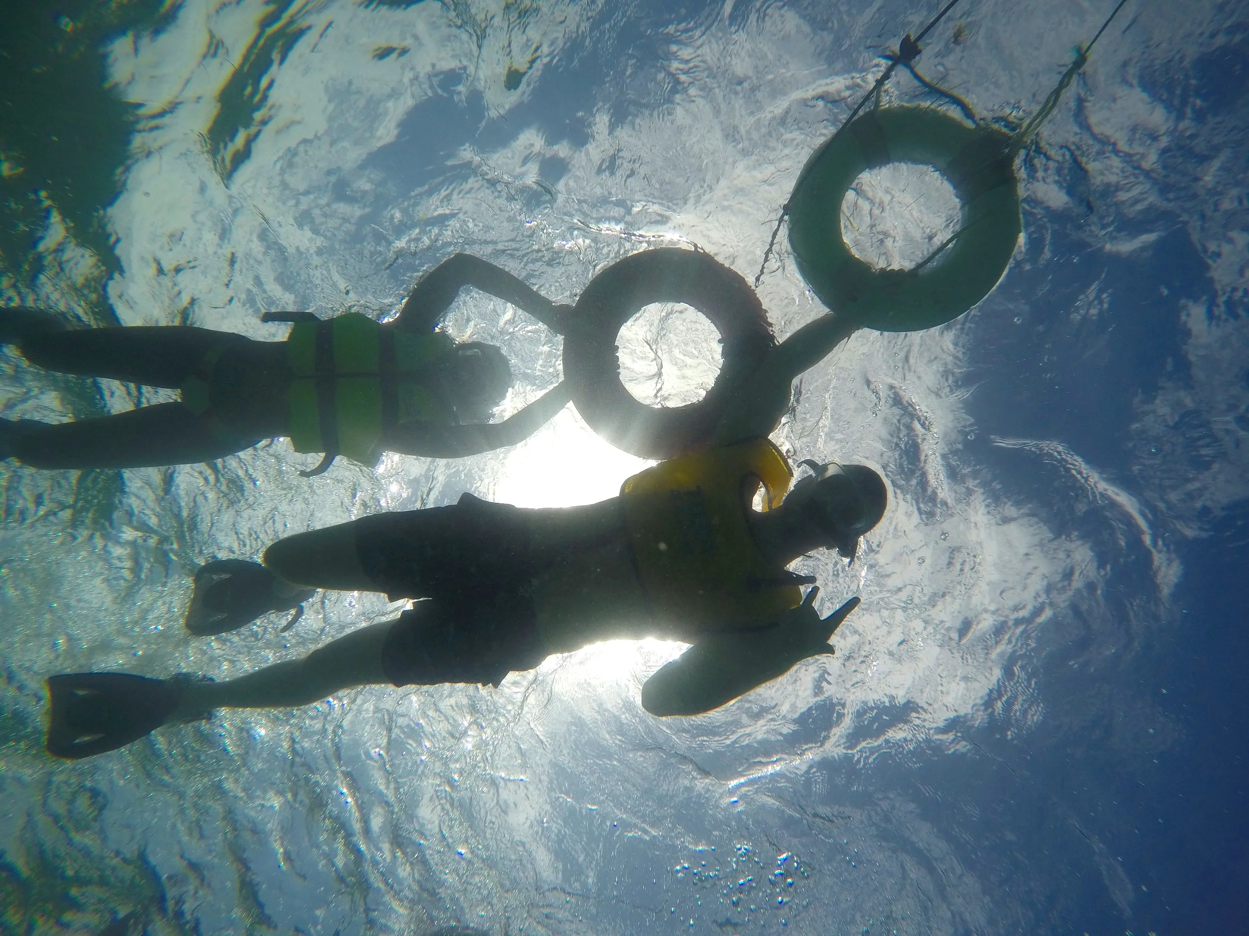 Our tour was pegged for all skill levels, but Total Snorkel Cancún also offers a tour for non-swimmers and a moonlight package for those who already know what they’re doing.