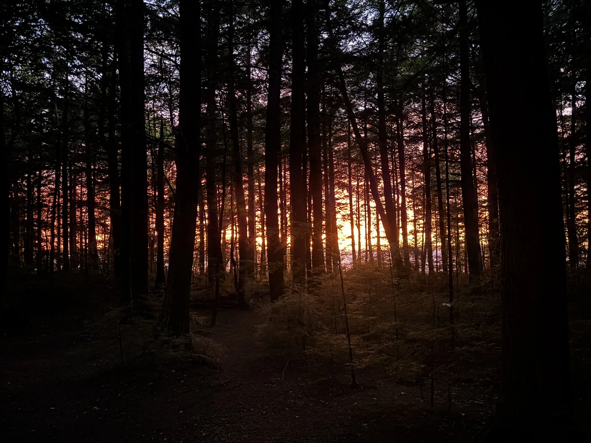 Day 1 - Hemlock Last Light.JPEG
