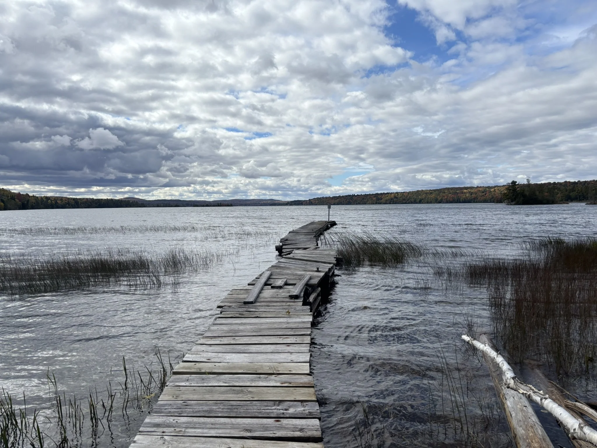 Day 4 - Dock on Murray Bay 2.JPEG