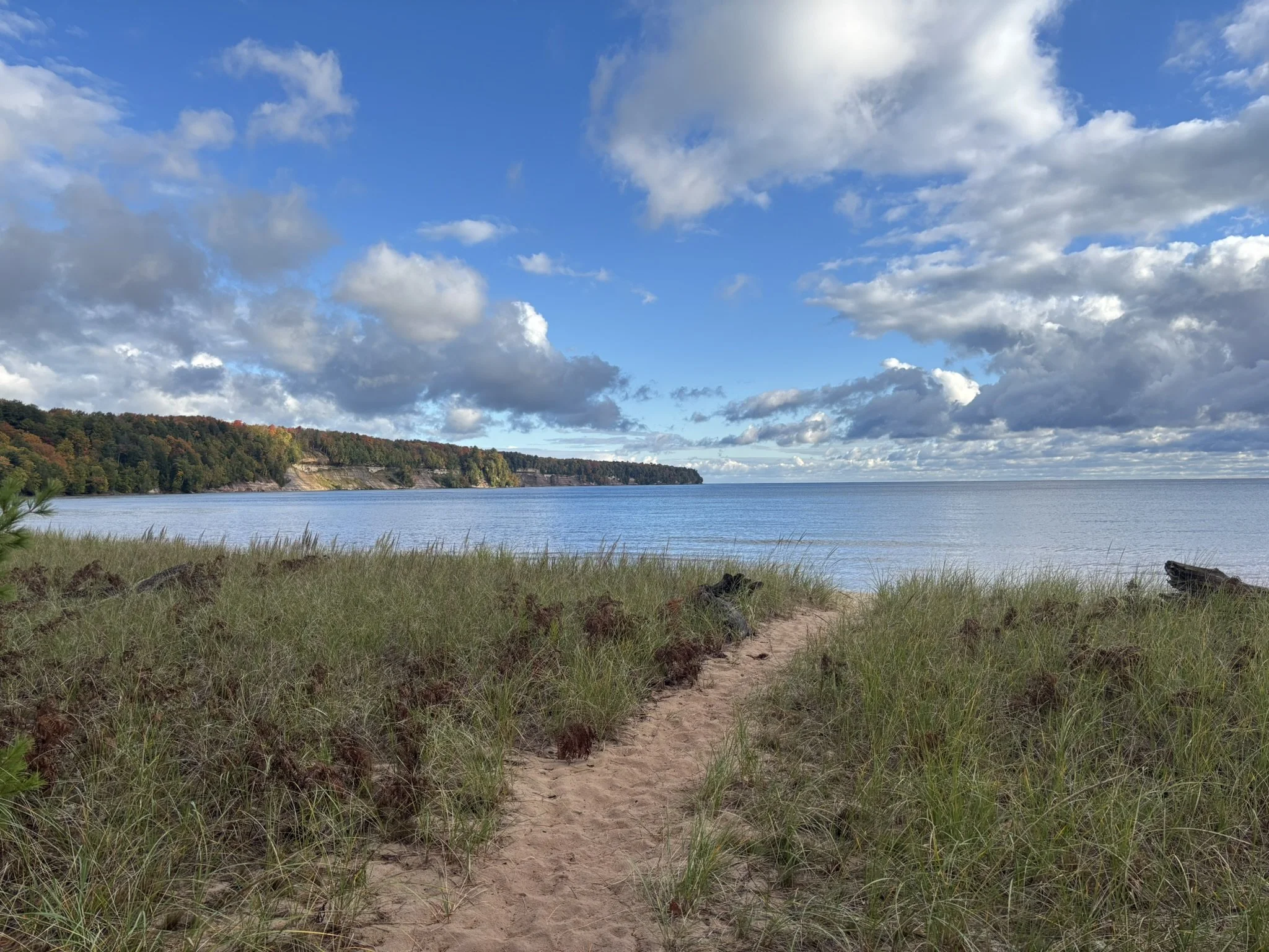 Day 4 - Trout Bay Beach Path.JPEG
