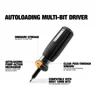 Autoloading Multi-Bit Driver, view 2