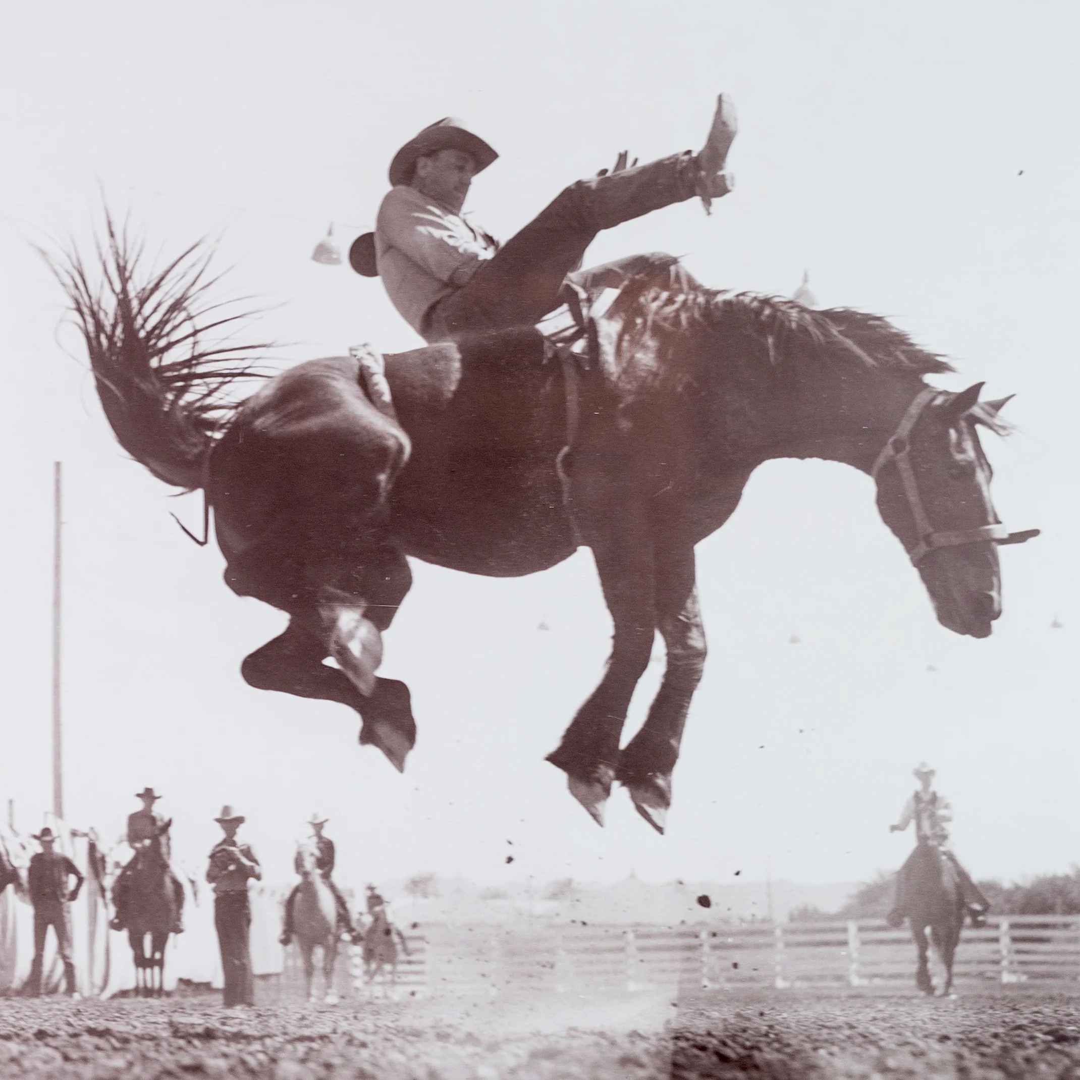 Stryker Fort Worth, High Skip; Charles Cook Collection