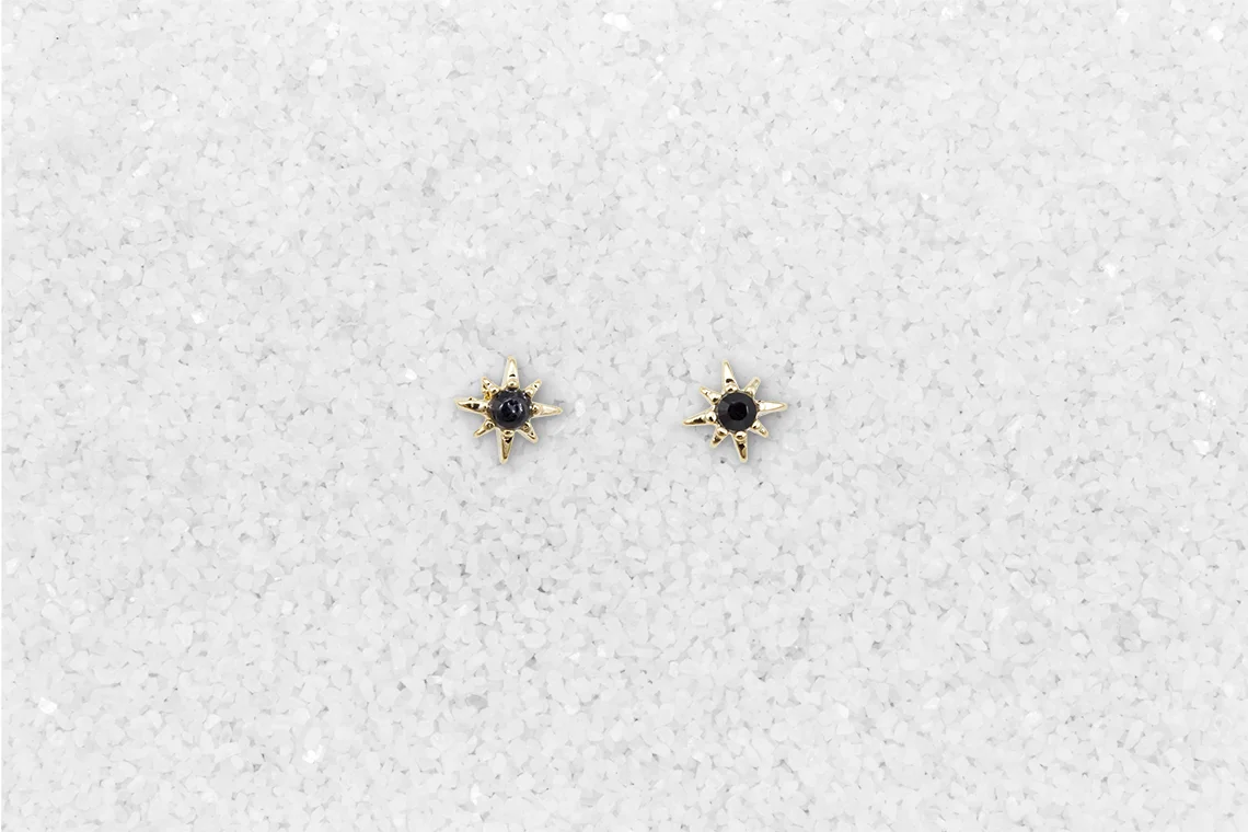 Petit Star with Black Glass Earrings