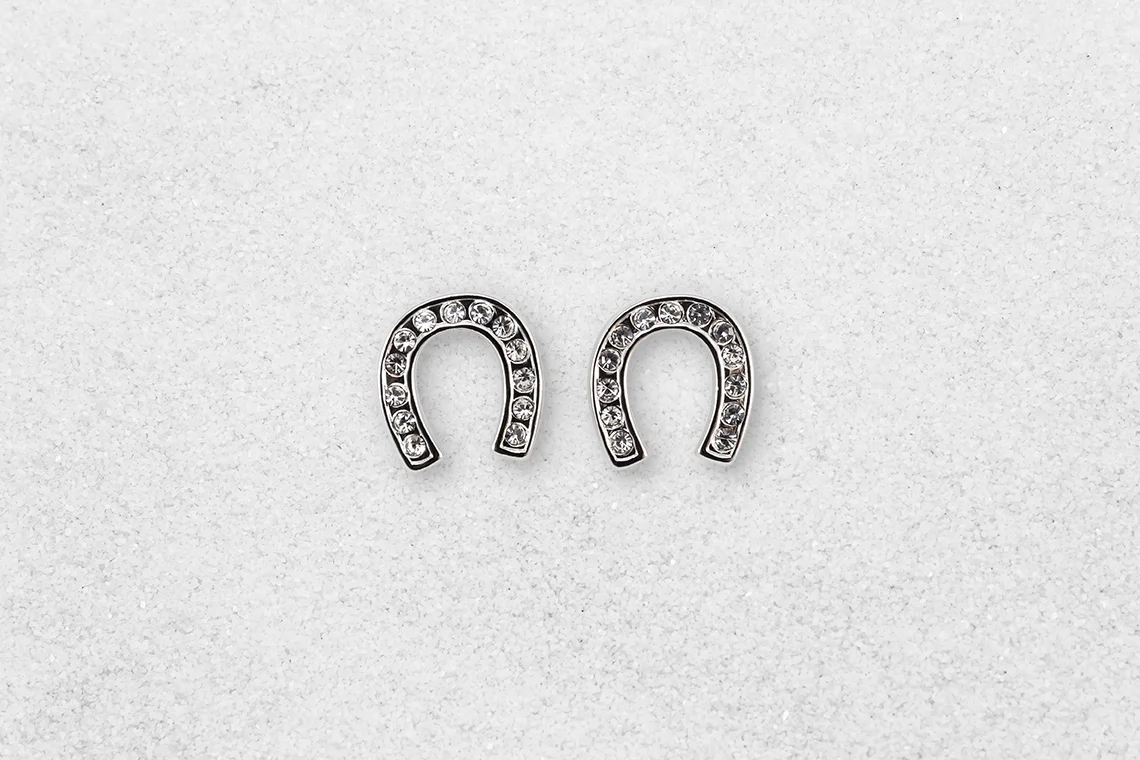 Horseshoe Earrings