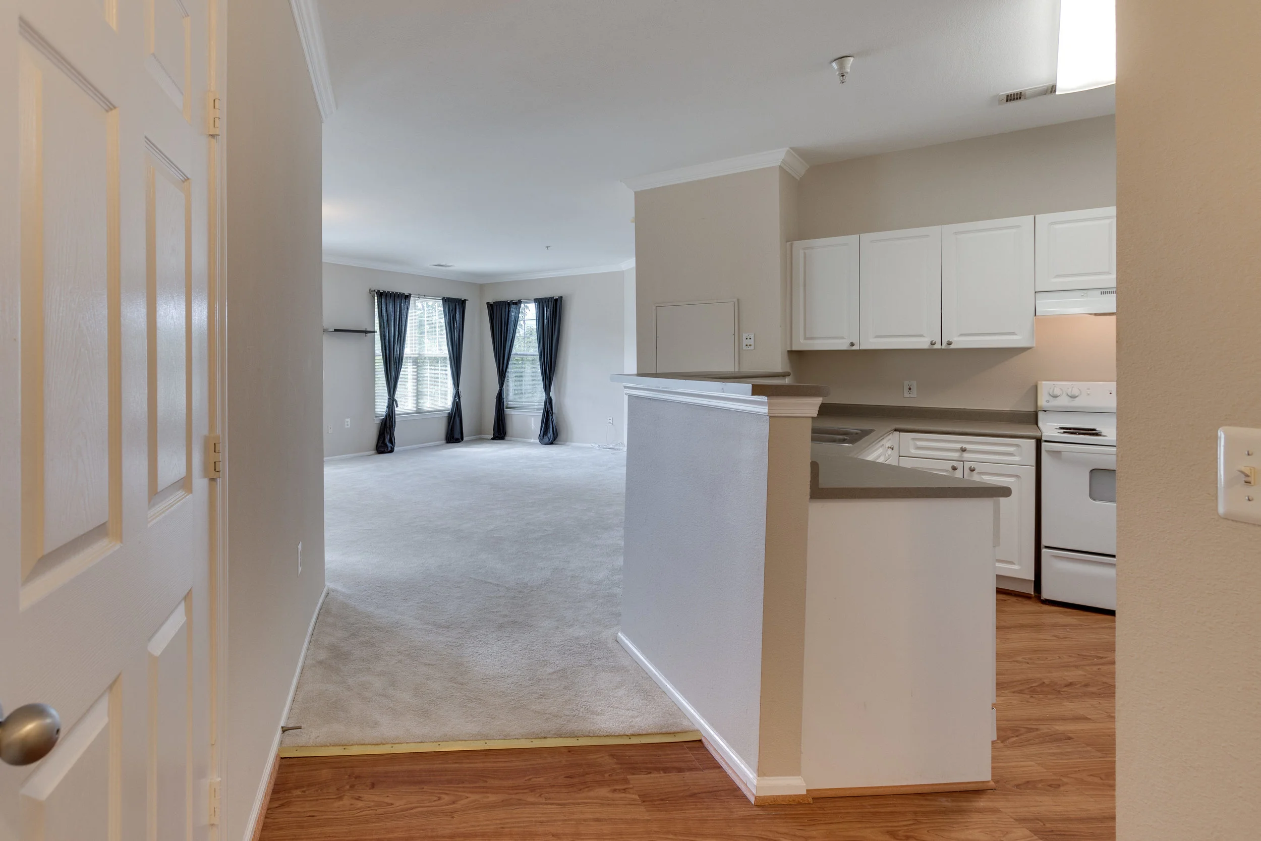 3009 Nicosh Cir Unit 4301-print-004-17-Entryway-4200x2800-300dpi.jpg