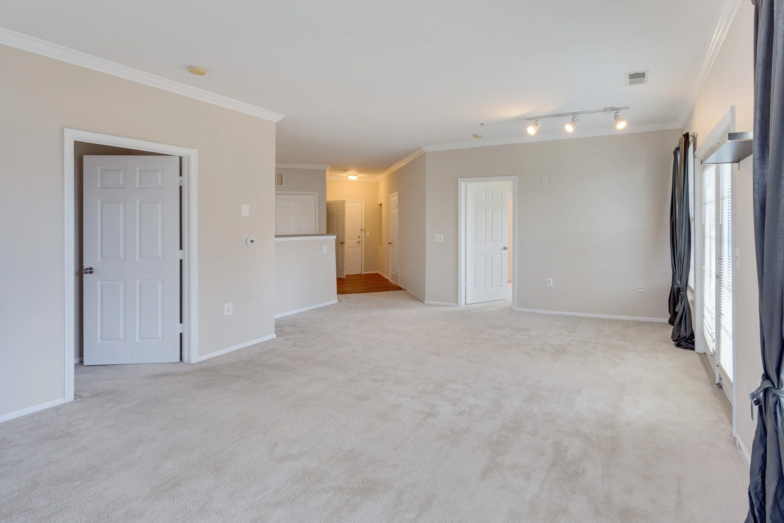 3009 Nicosh Cir Unit 4301-print-011-30-Living Room-4200x2800-300dpi.jpg