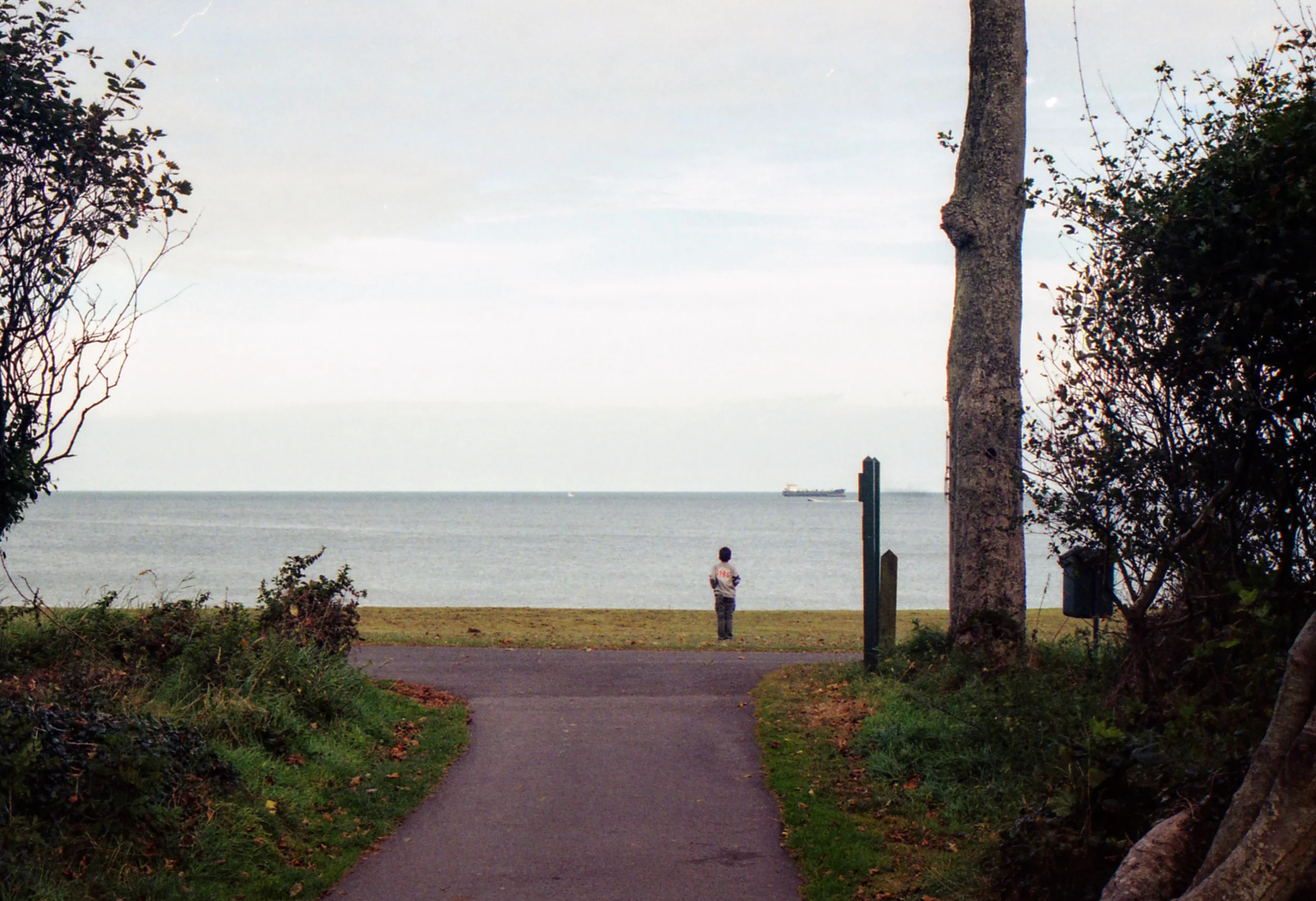 img007.jpg