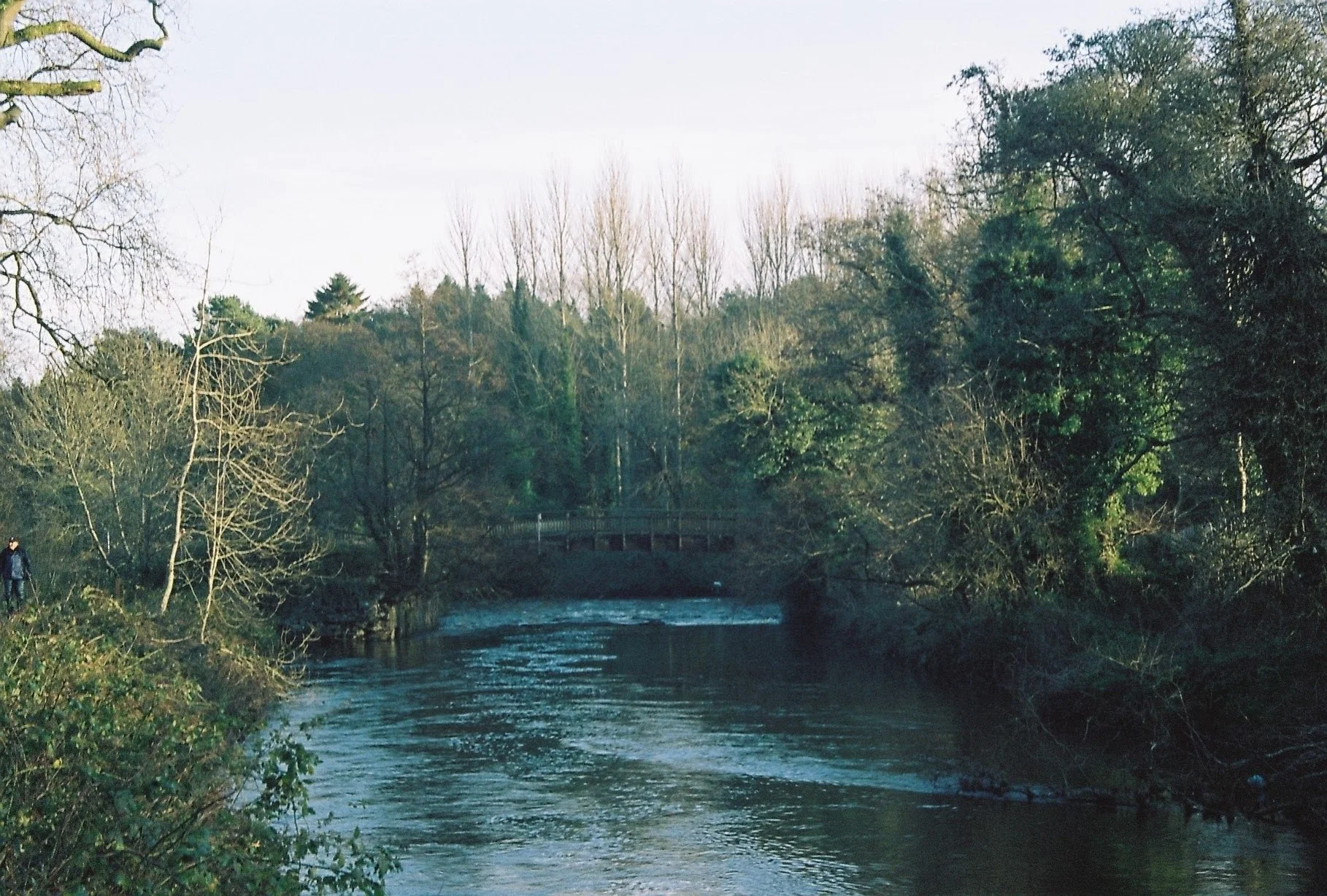 CNV00019.jpg