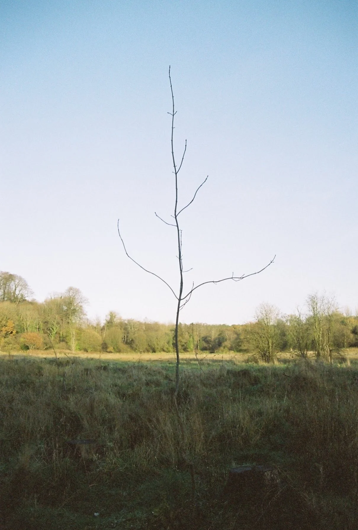 CNV00025.jpg