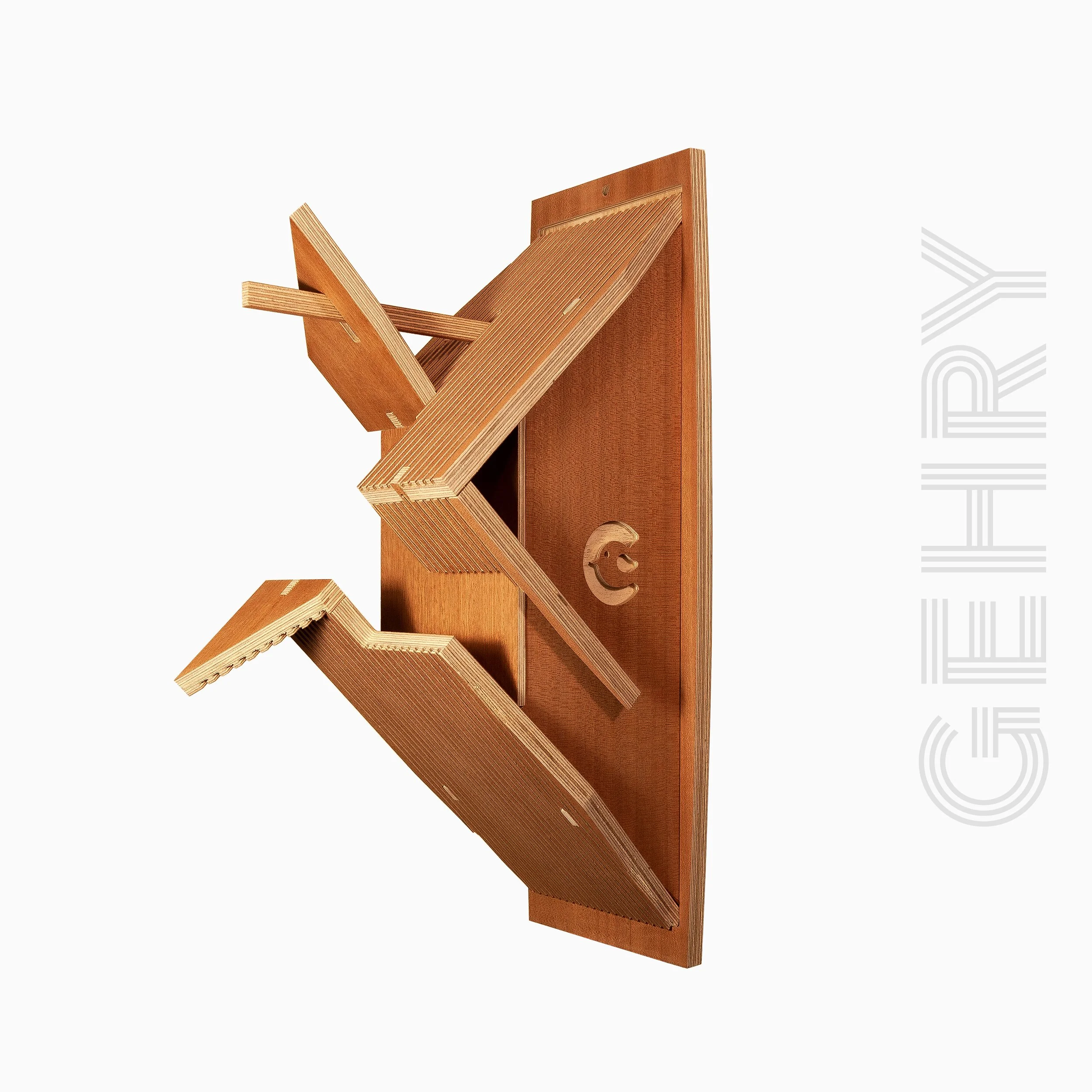 GEHRY 13.jpg