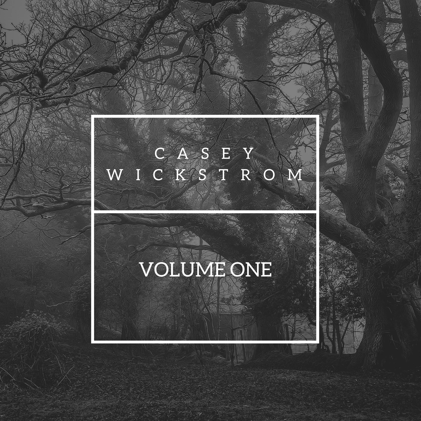 Casey wickstromVolume ONE.jpg
