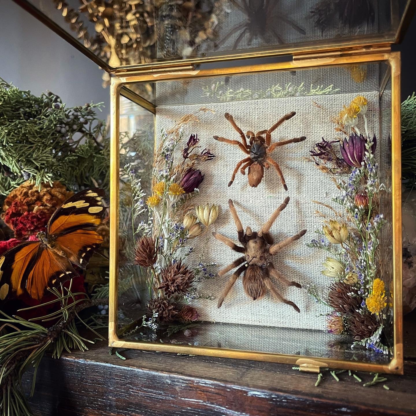 Tarantula Memorials