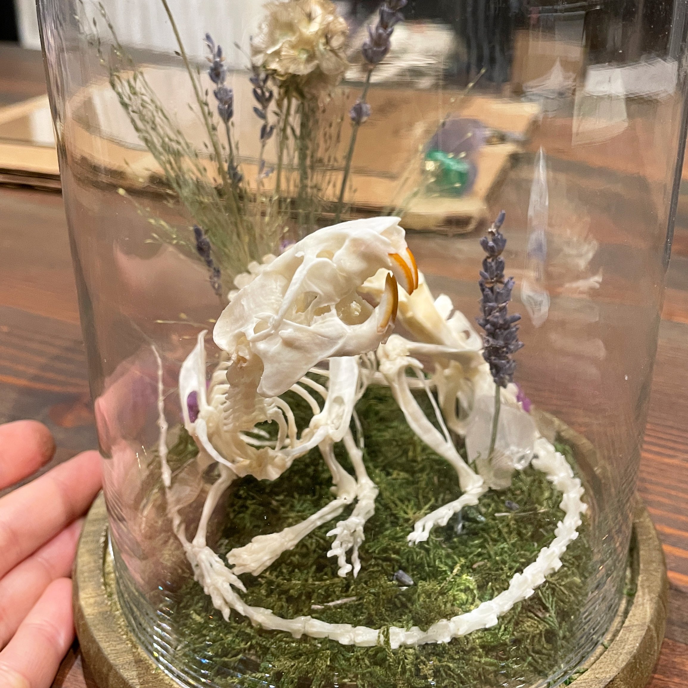 Rat Memorial