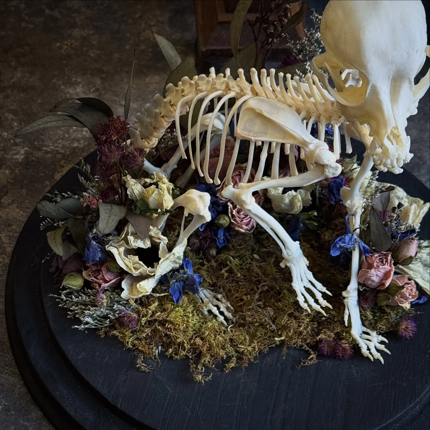 There&rsquo;s always a reflection at the end of the year and still grateful for allowing me to create these memorials for you - Happy New Year