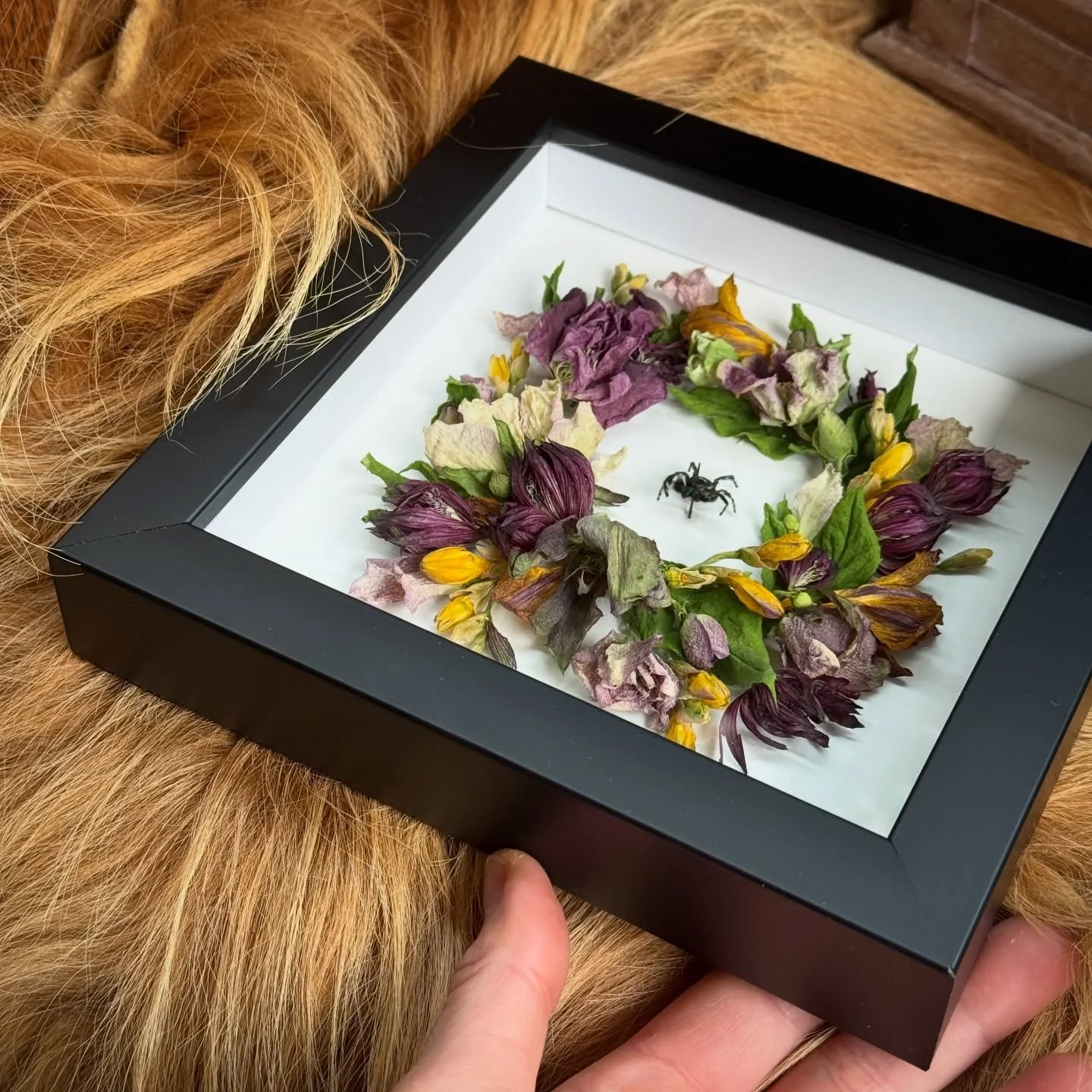 Tiniest memorial but the largest flower crown for the large personalities that jumping spiders have 🖤