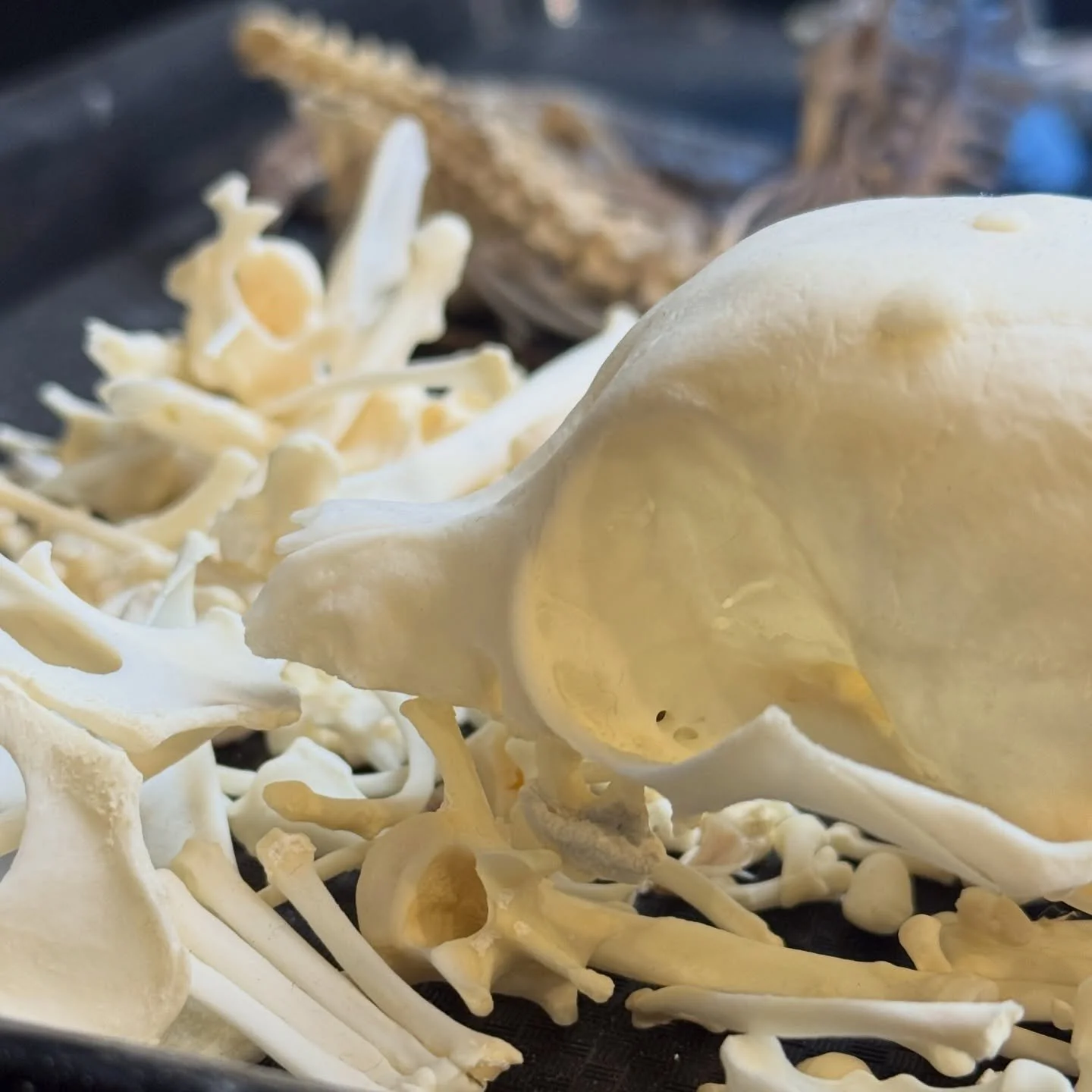 Chippin away at projects