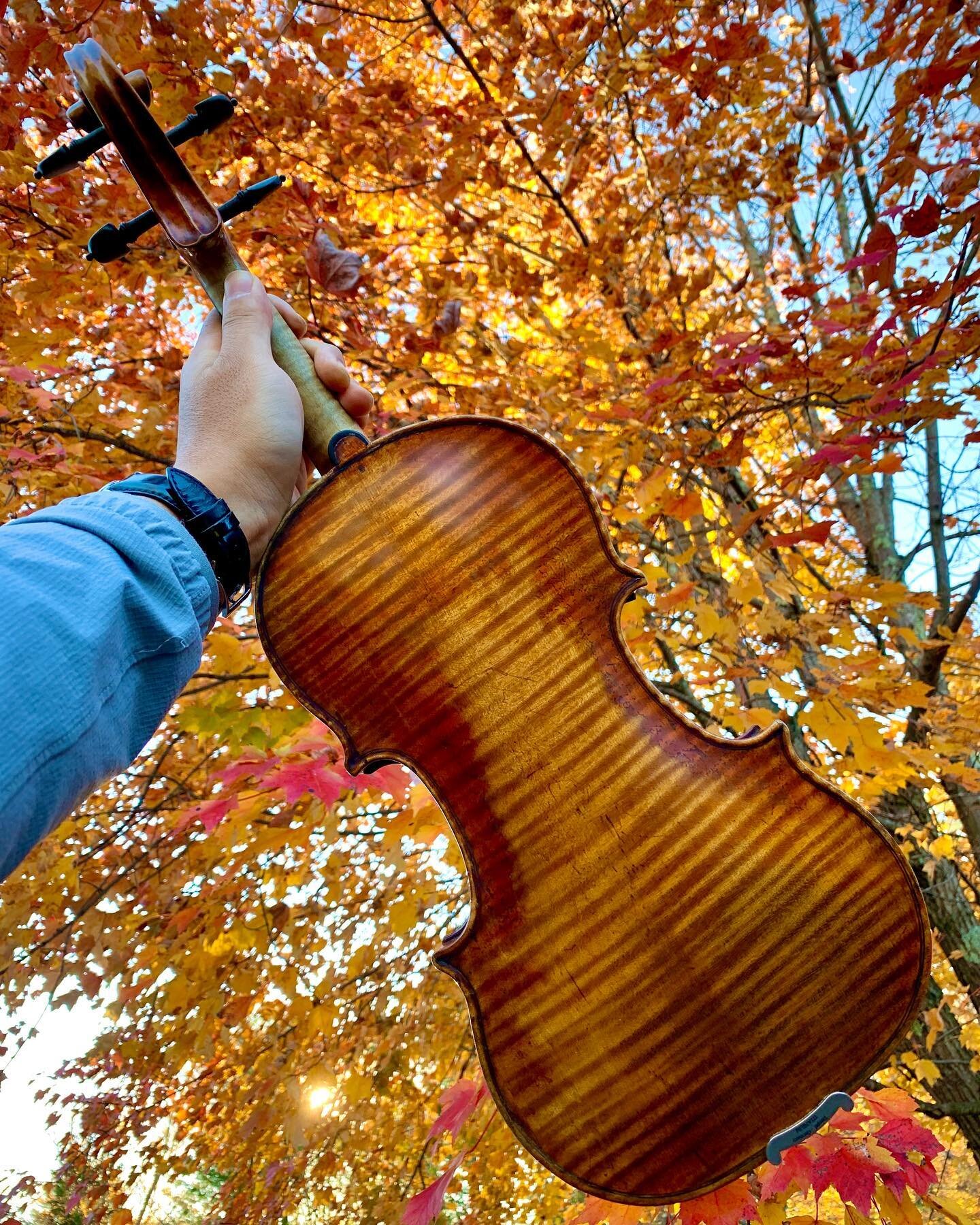 Maple 🍁🔥
📸 @jiakimvc 

#violin #violinist #geige #instrumentporn #violinista #violino #violinistsofinstagram #violinstagram #바이올린 #바이올리니스트 #fallfoliage #nature #guadagnini #maple #autumn