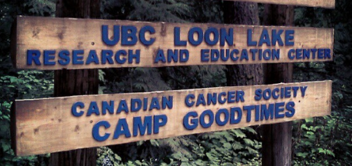 A chance to forget cancer and just be a kid