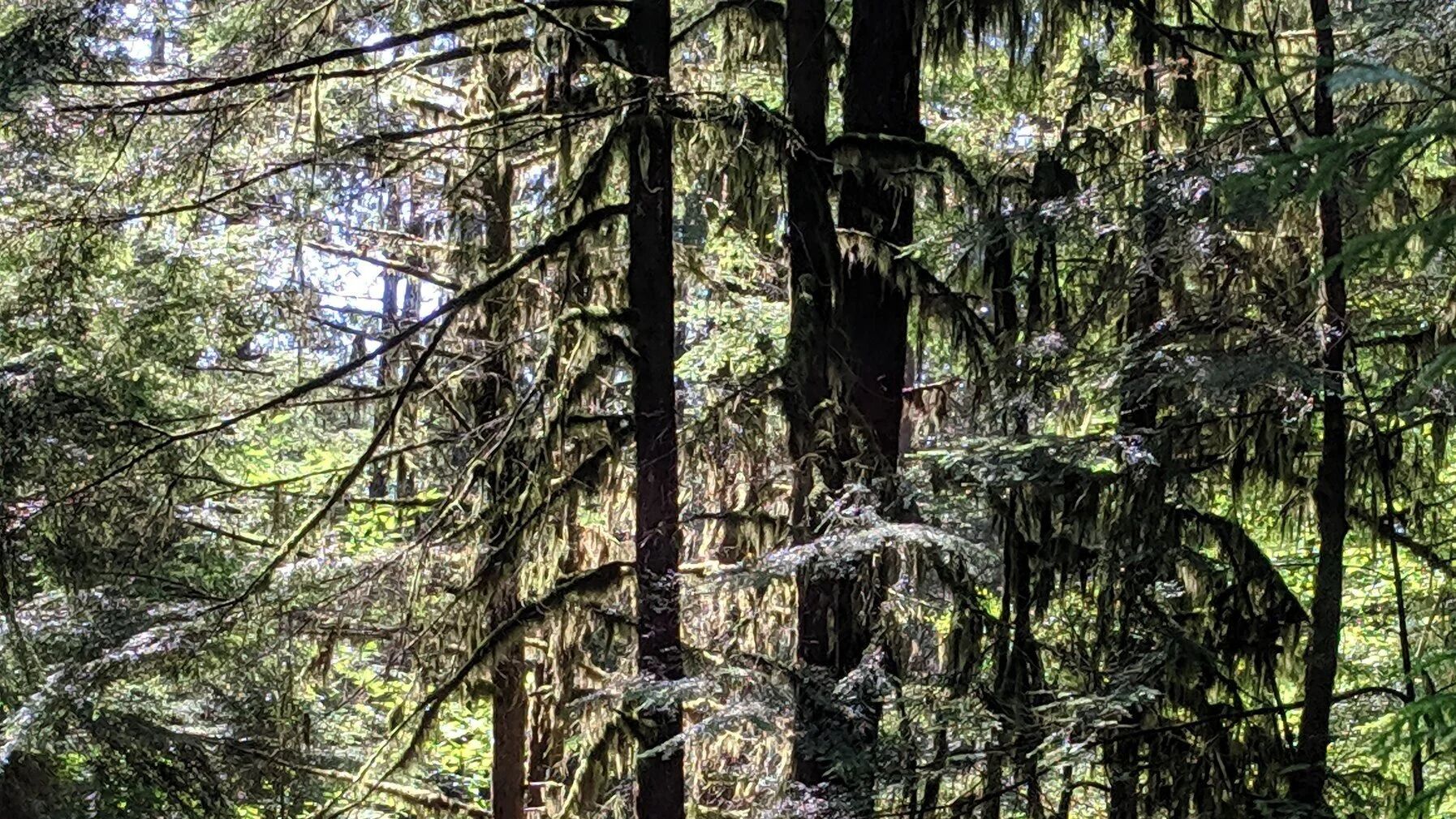 IMG_20190725_104315.jpg