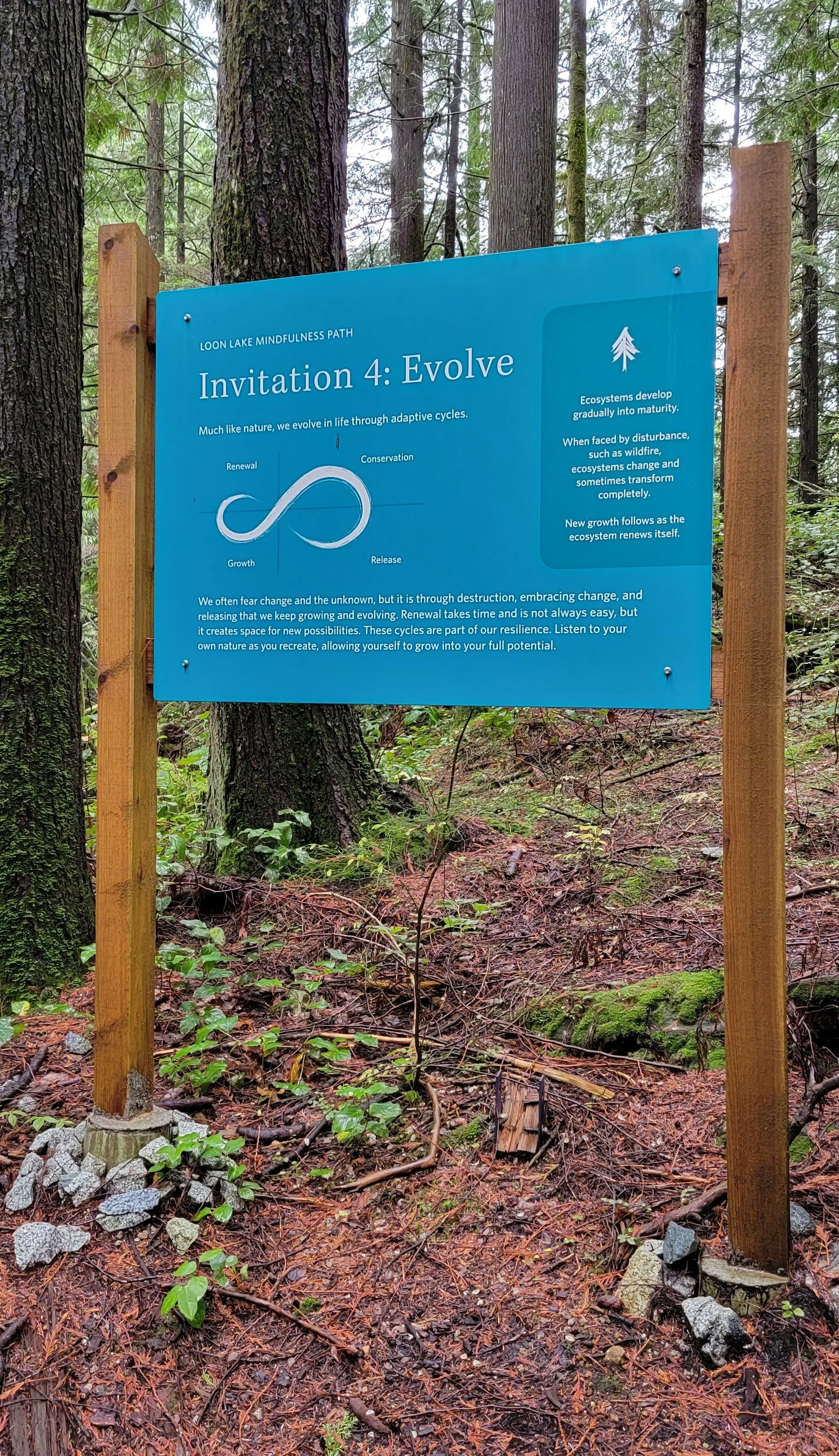 Guided Meditation Trail.jpg