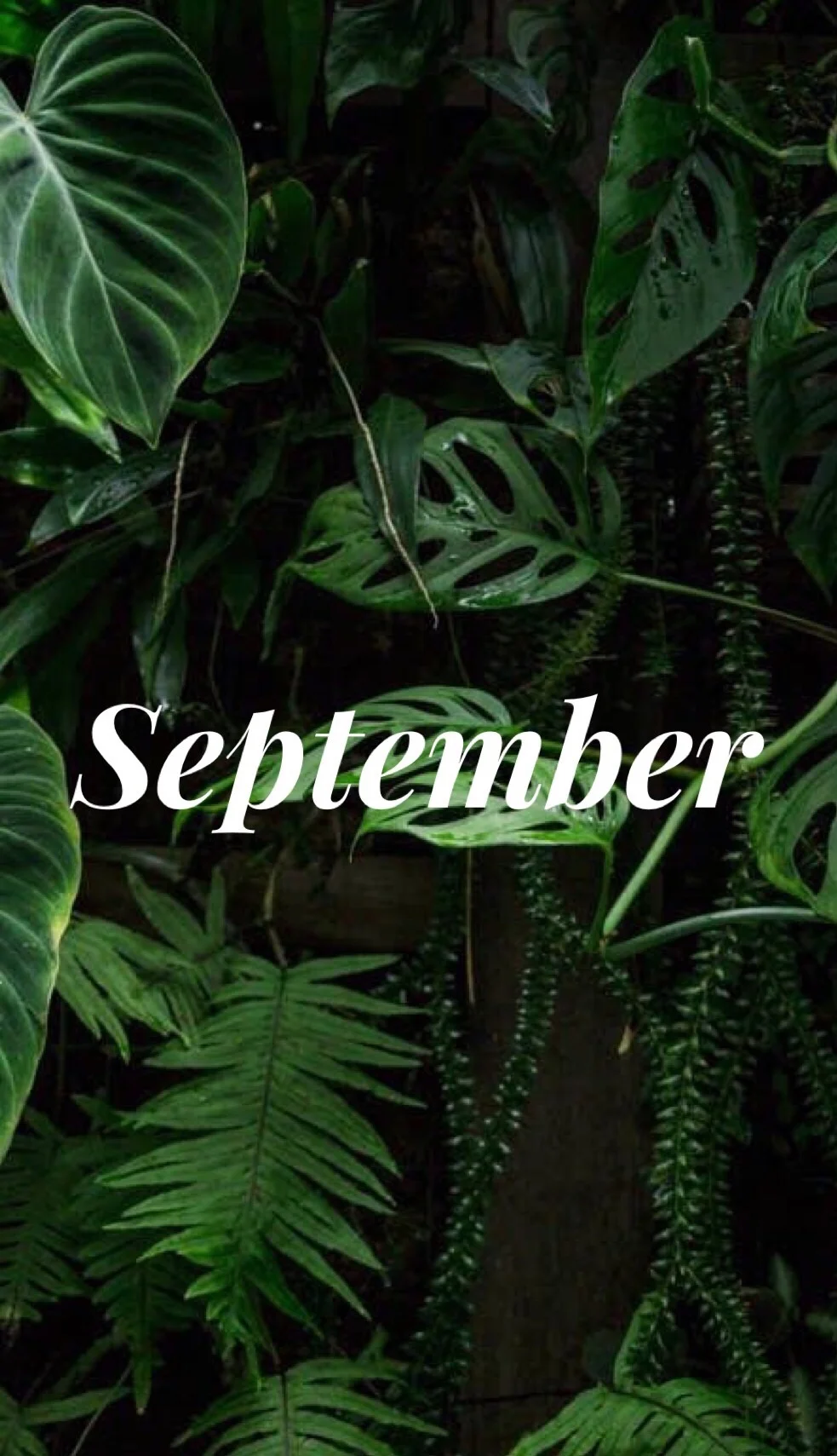 Hello, September!