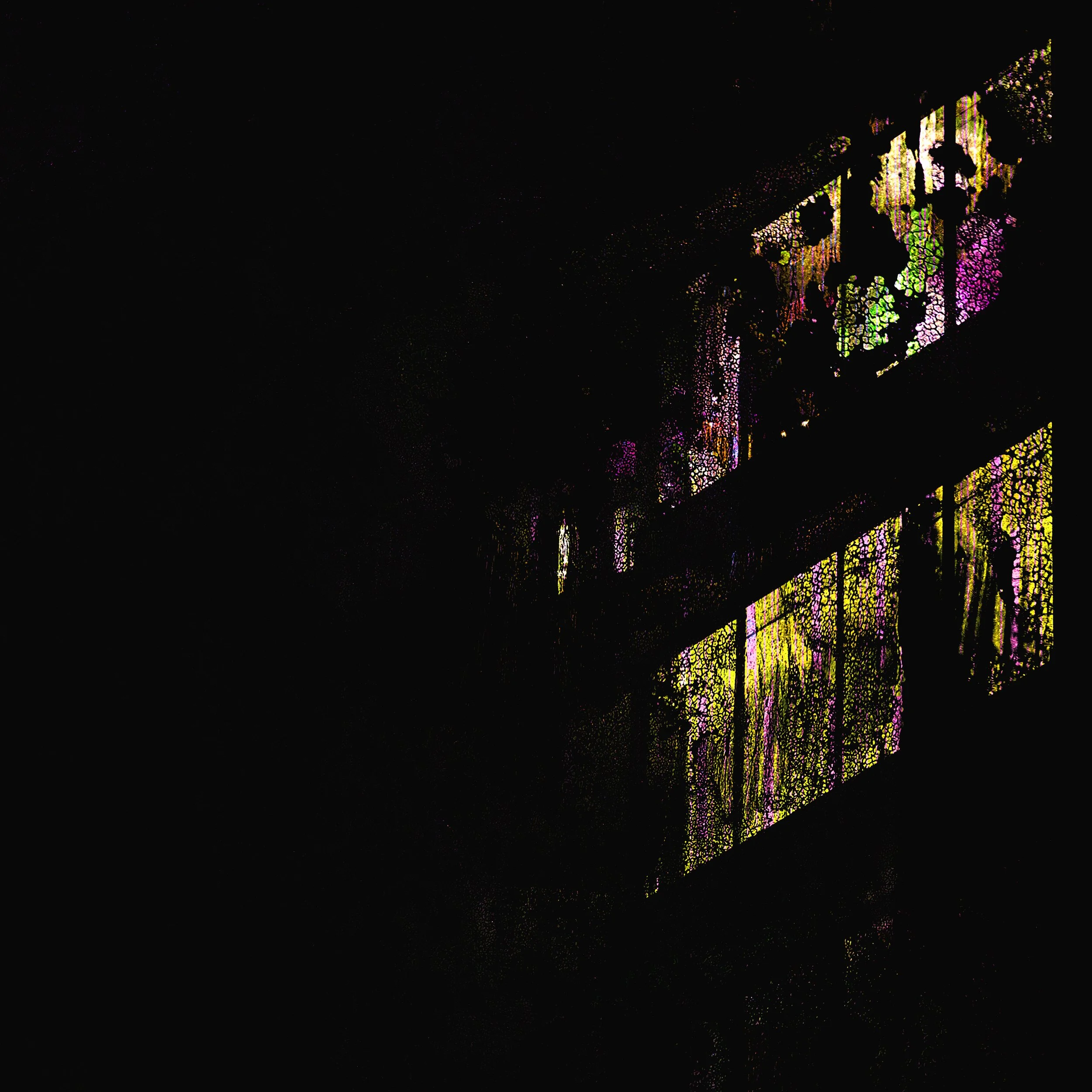 Helen Money/Will Thomas album - TRACE