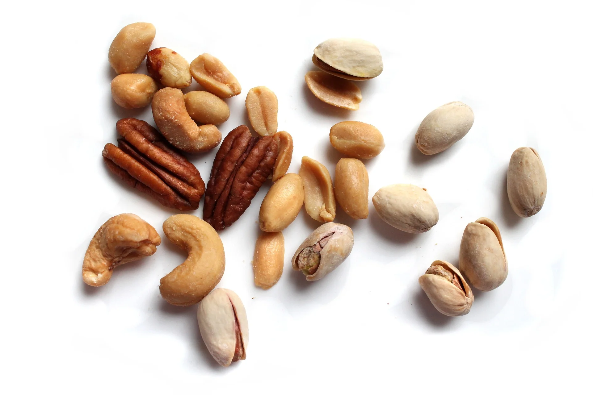 nut-3021258_1920.jpg