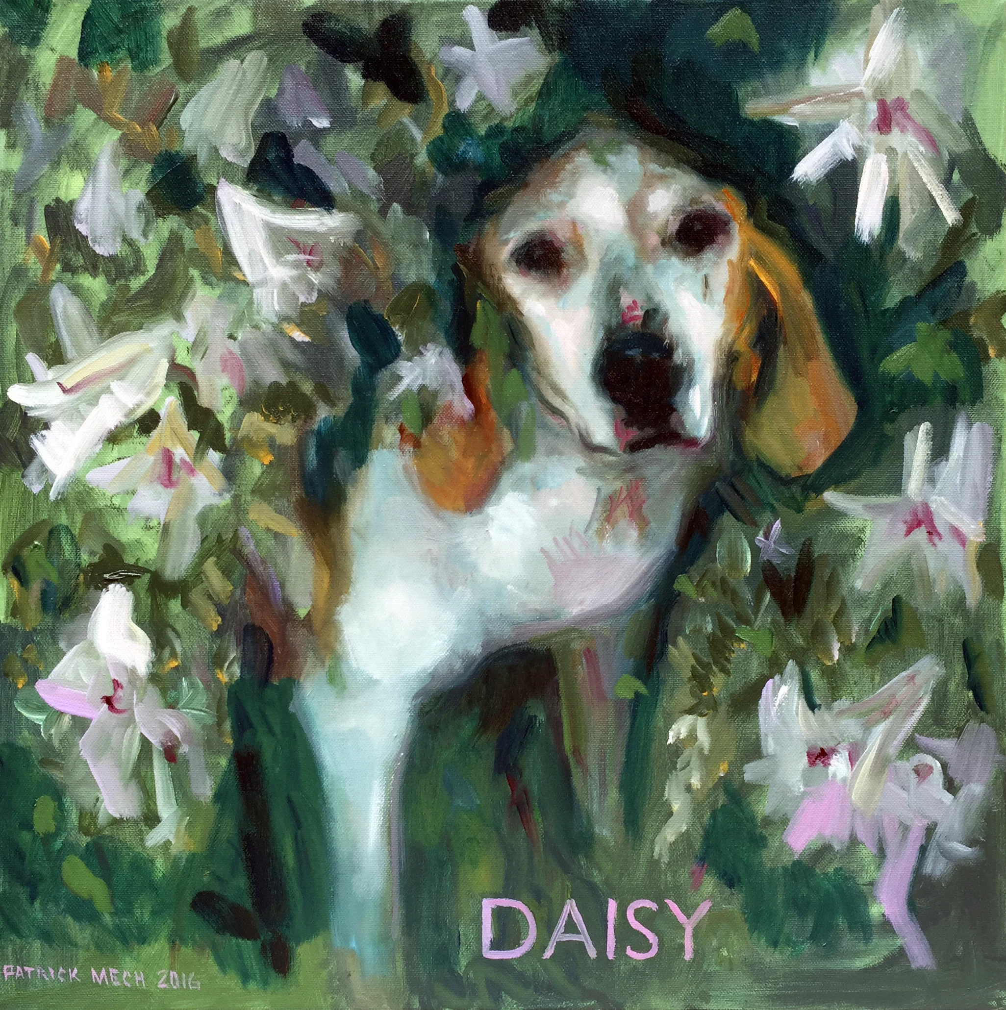 Rob McMahon Daisy I.jpg