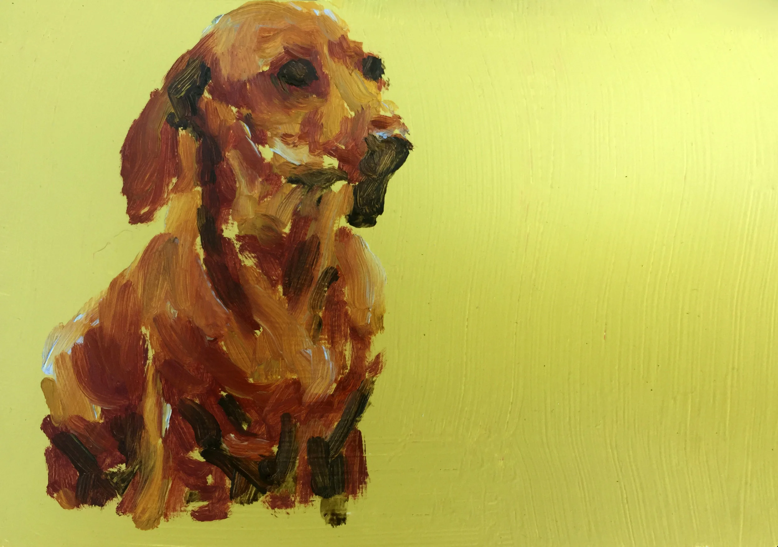 Dachsund.jpg
