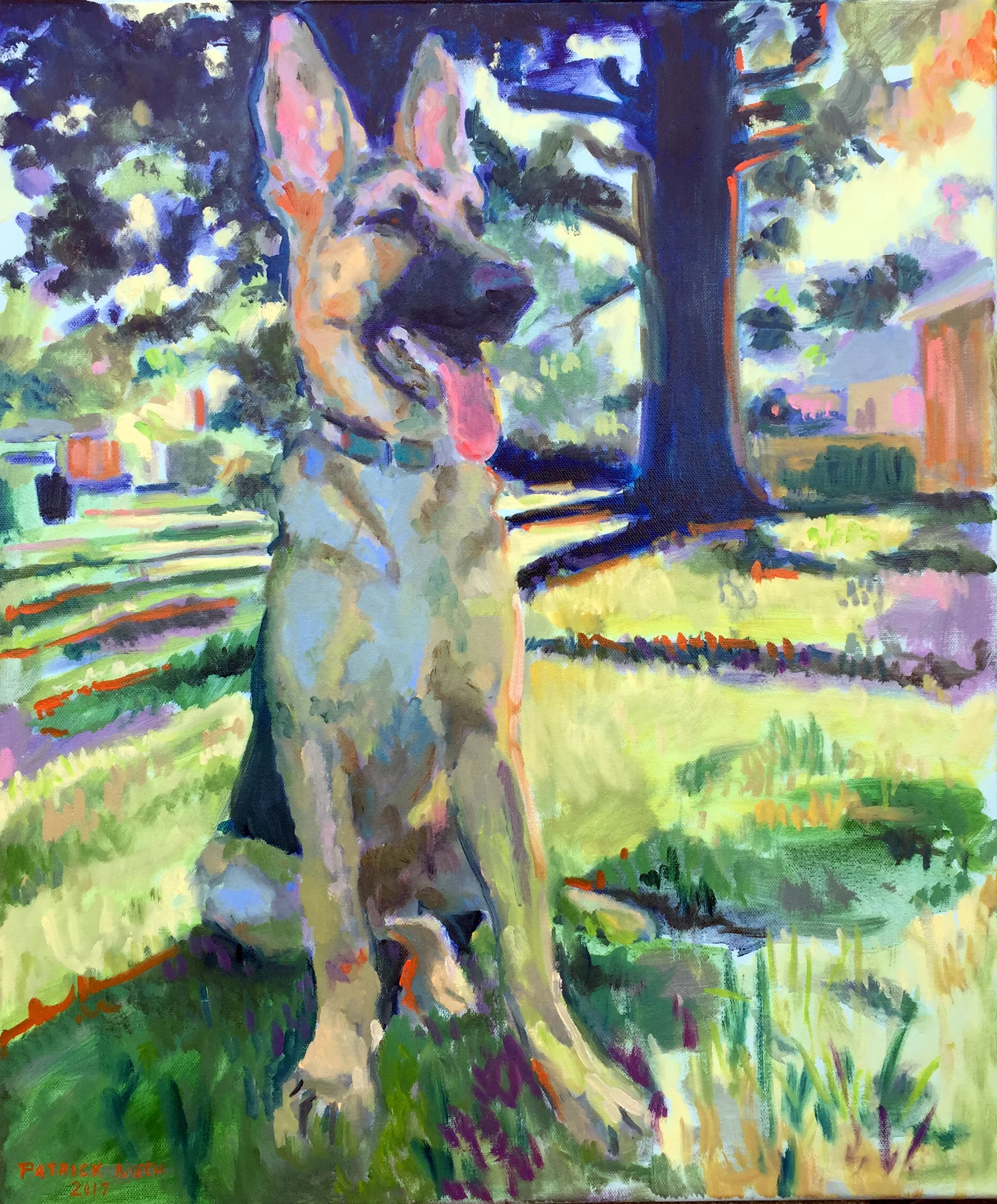 Ross Donnan Dog Portrait.jpg