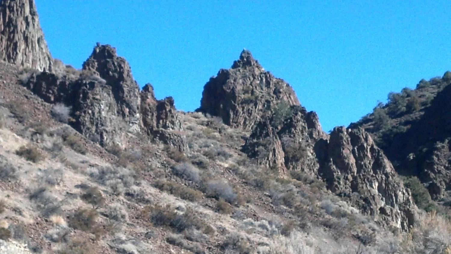 IMG_20131110_124204_196.jpg