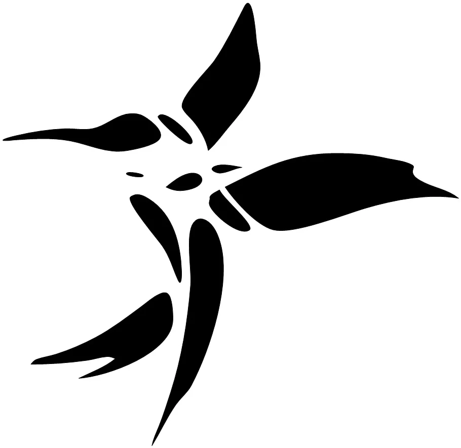 Humming bird for square space.jpg