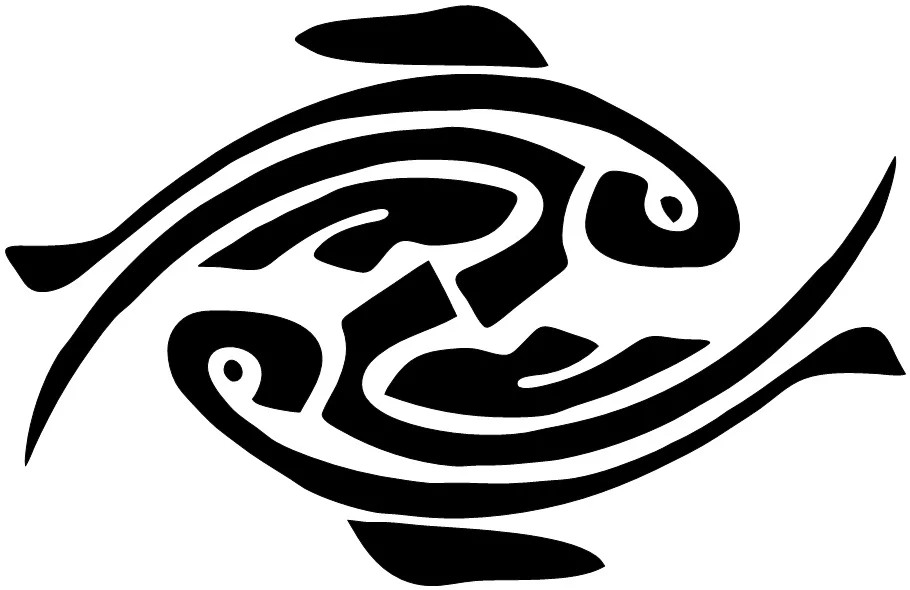 Koi  Square space.jpg