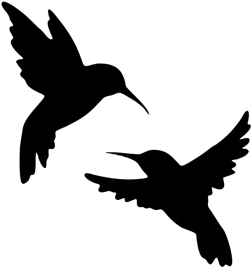 Two Hummingbirds.jpg